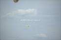 1032_prot