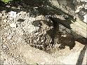 Parc024_gr_prot