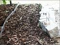 Parc028_gr_prot