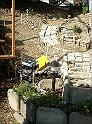 Parc037_gr_prot
