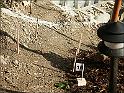 Parc038_gr_prot