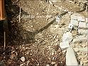 Parc040_gr_prot