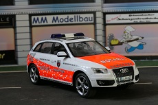 FFW-NEF-Audi__1_